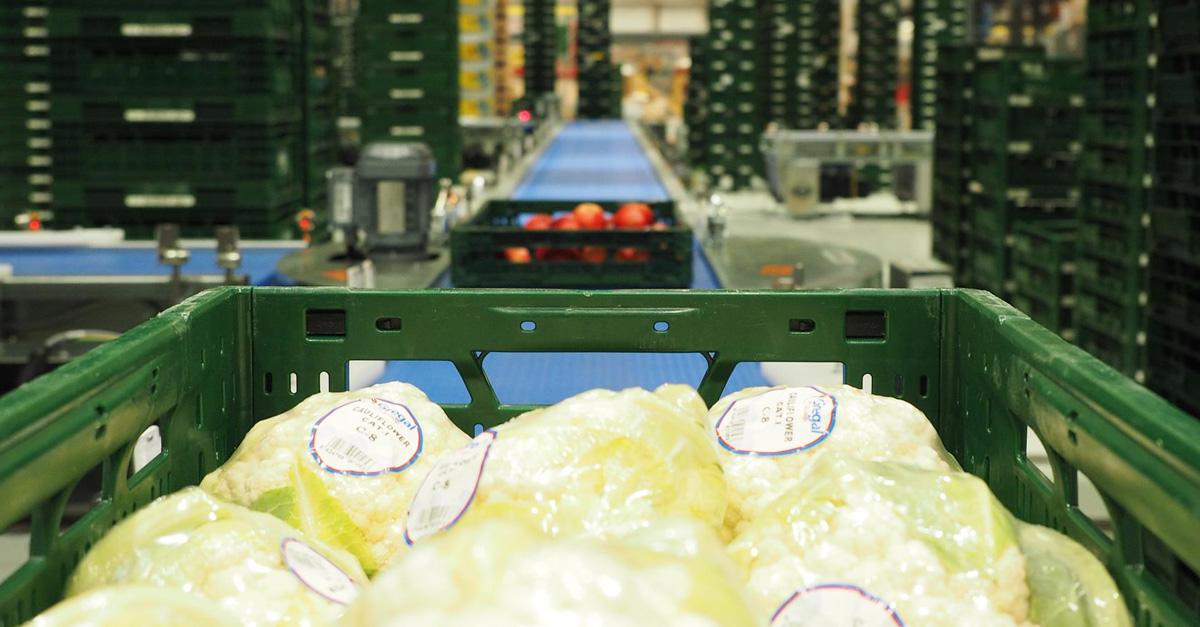 Fresh food intralogistics by Cimcorp